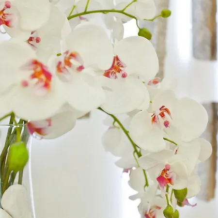 מלון Porcel Sabica 4*